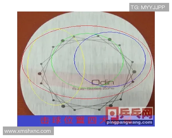 北京网球队在比赛中的战术掌控与失误分析探讨