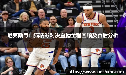 尼克斯与山猫精彩对决直播全程回顾及赛后分析